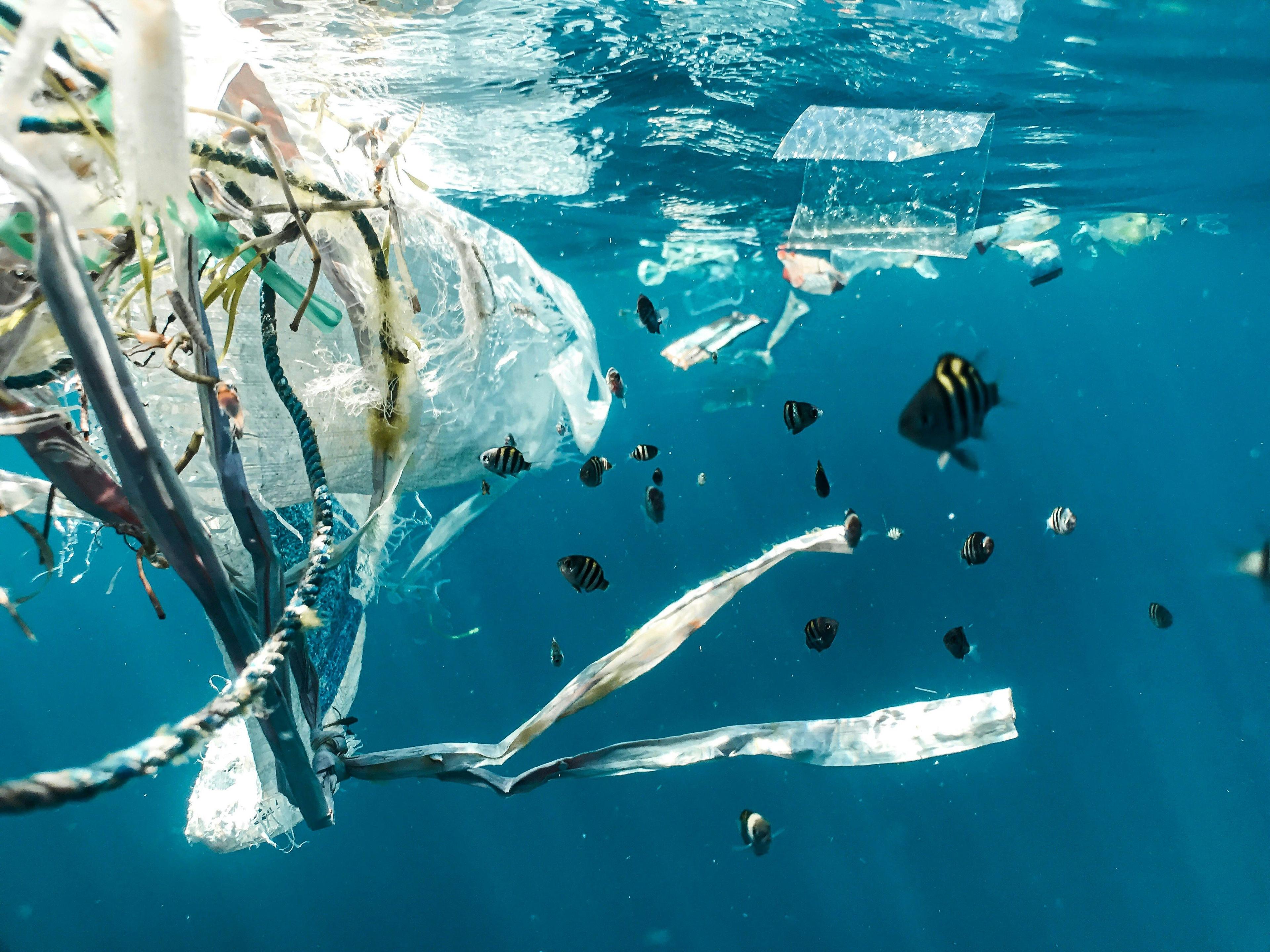 Conservation & Ocean Awareness