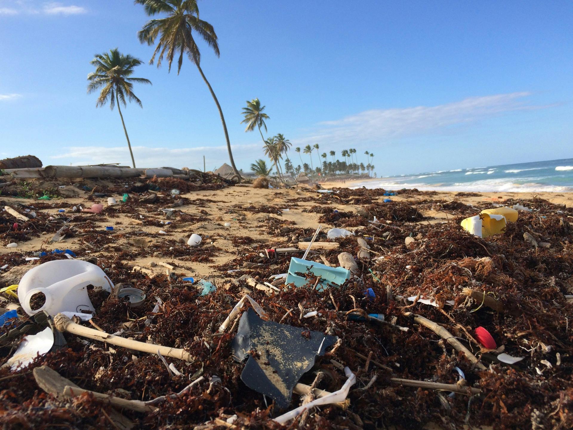 Conservation & Ocean Awareness