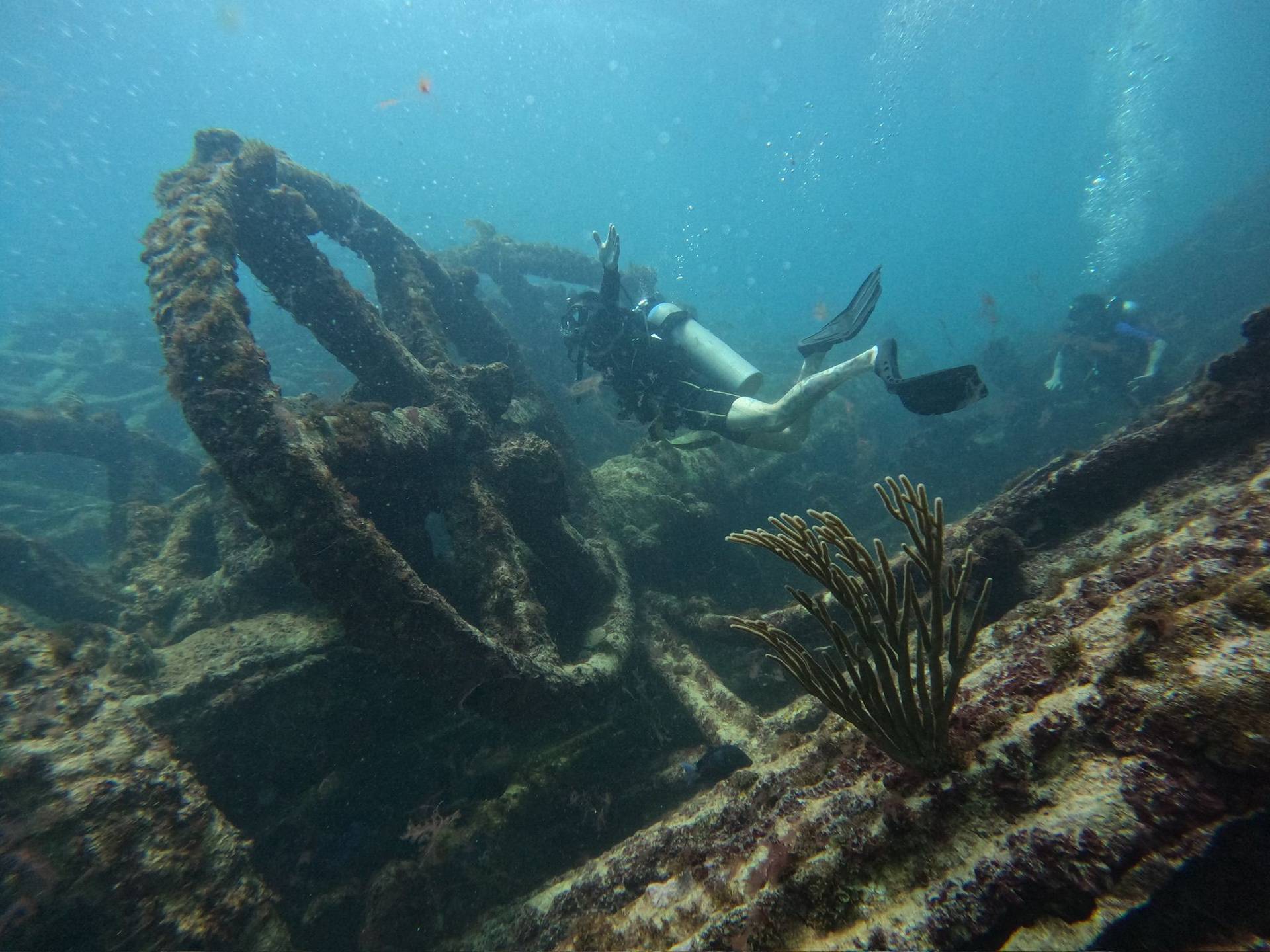Wreck Diver