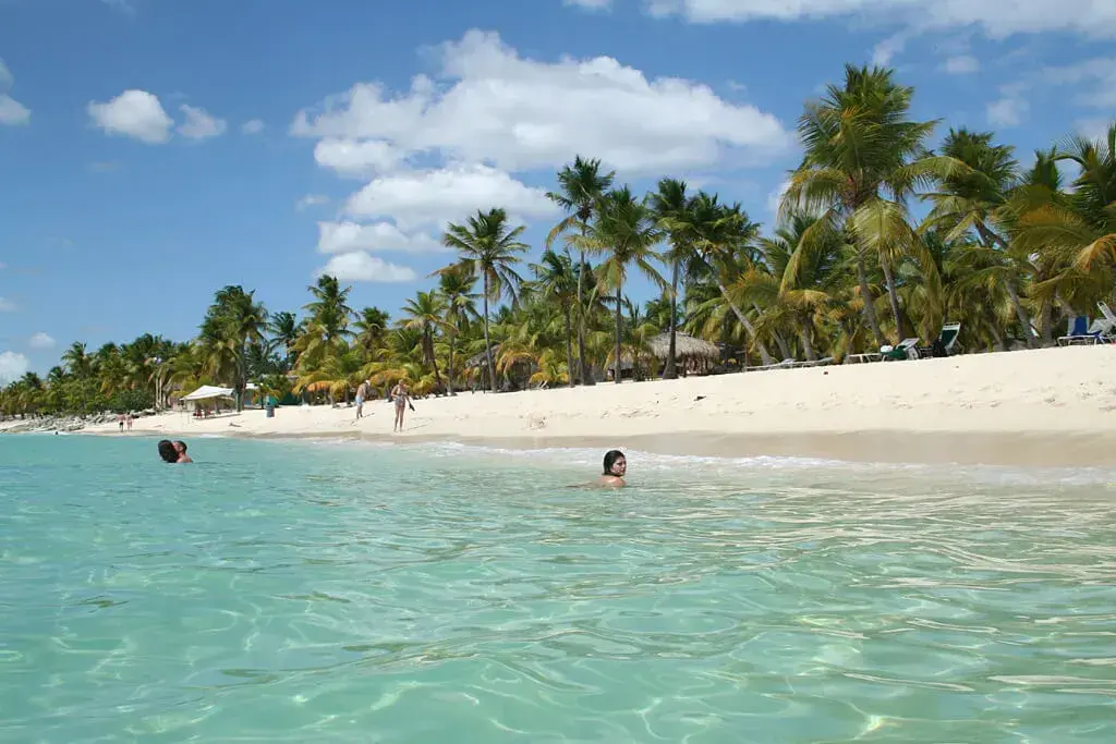 Snorkeling Catalina Island Dominican Republic tropical fish