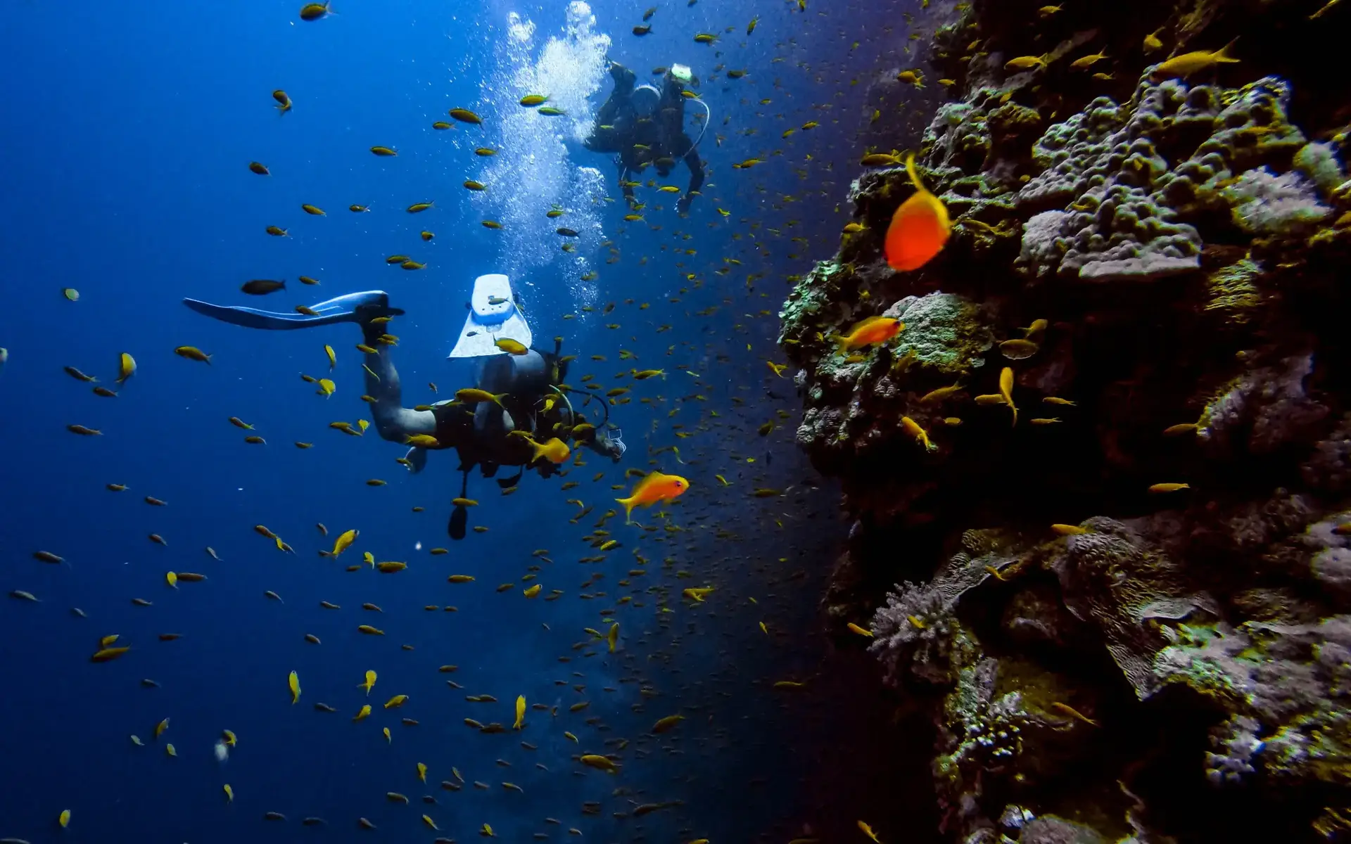 Advanced Open Water Diver