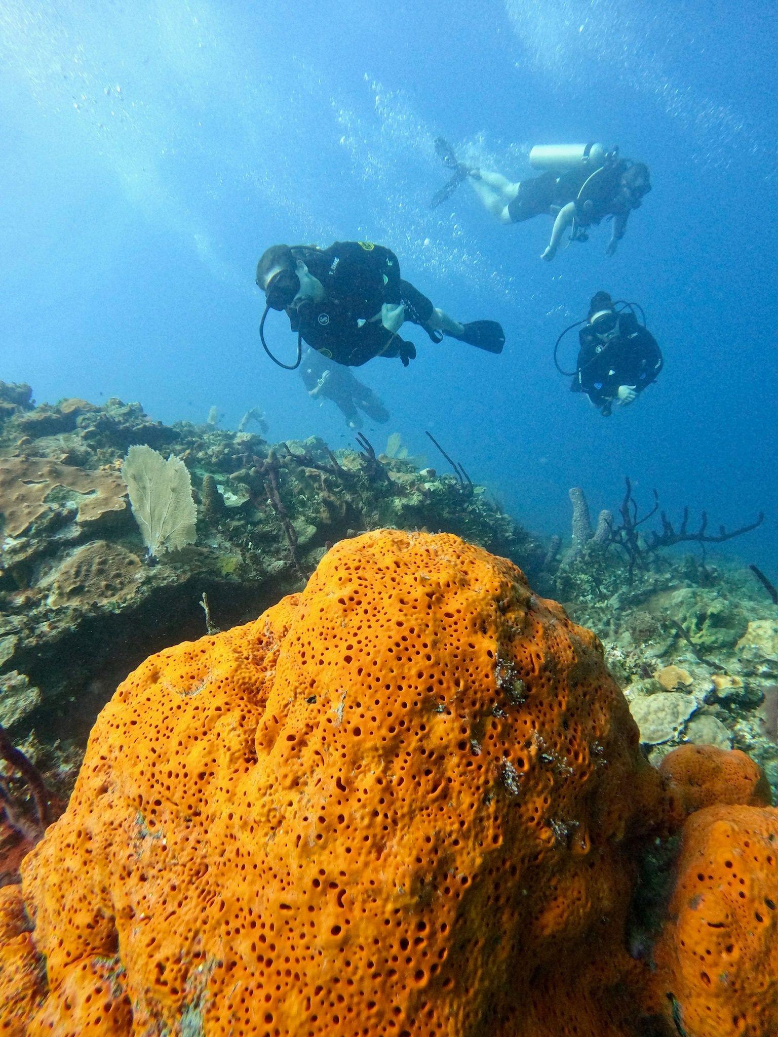 Diving