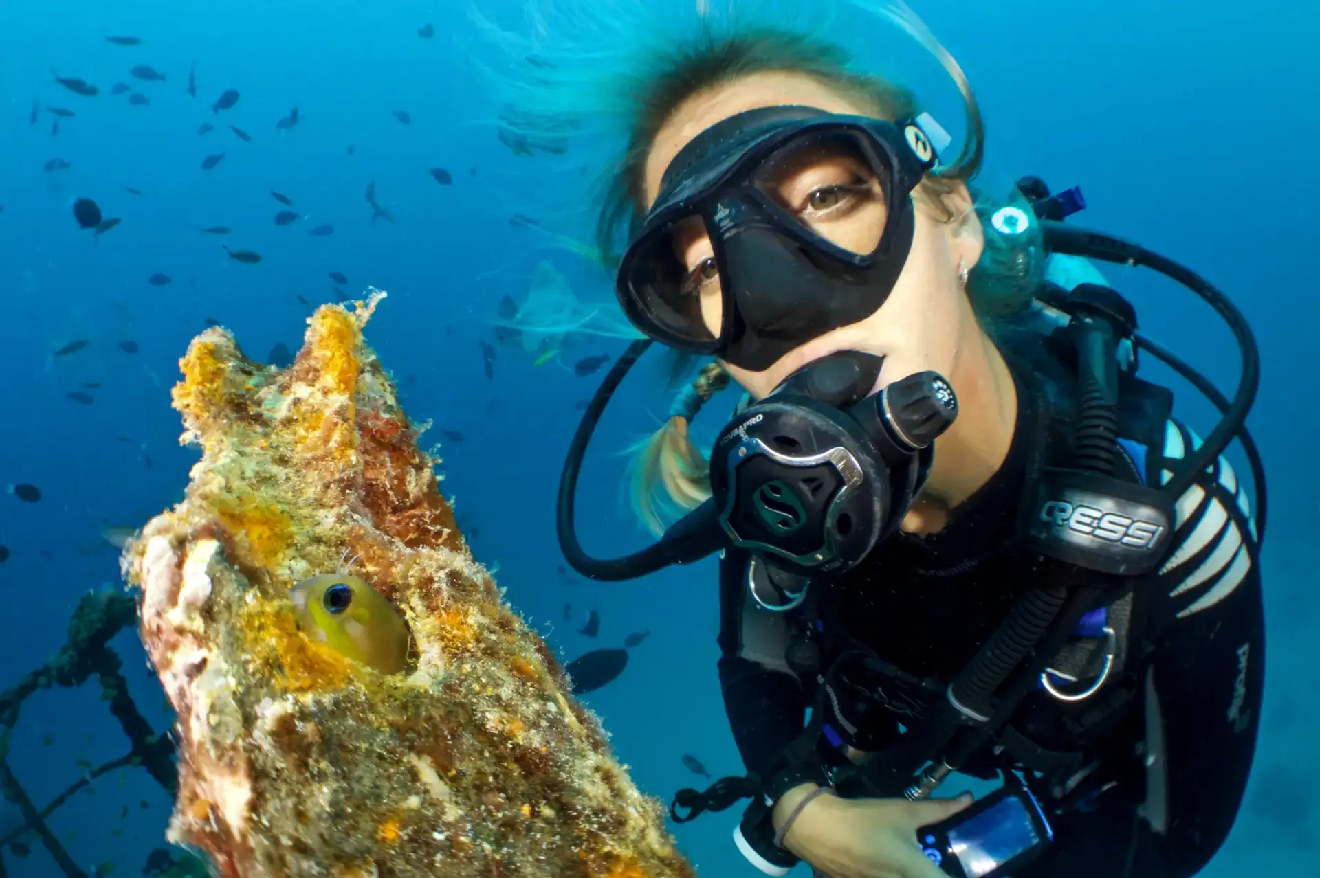 Diving