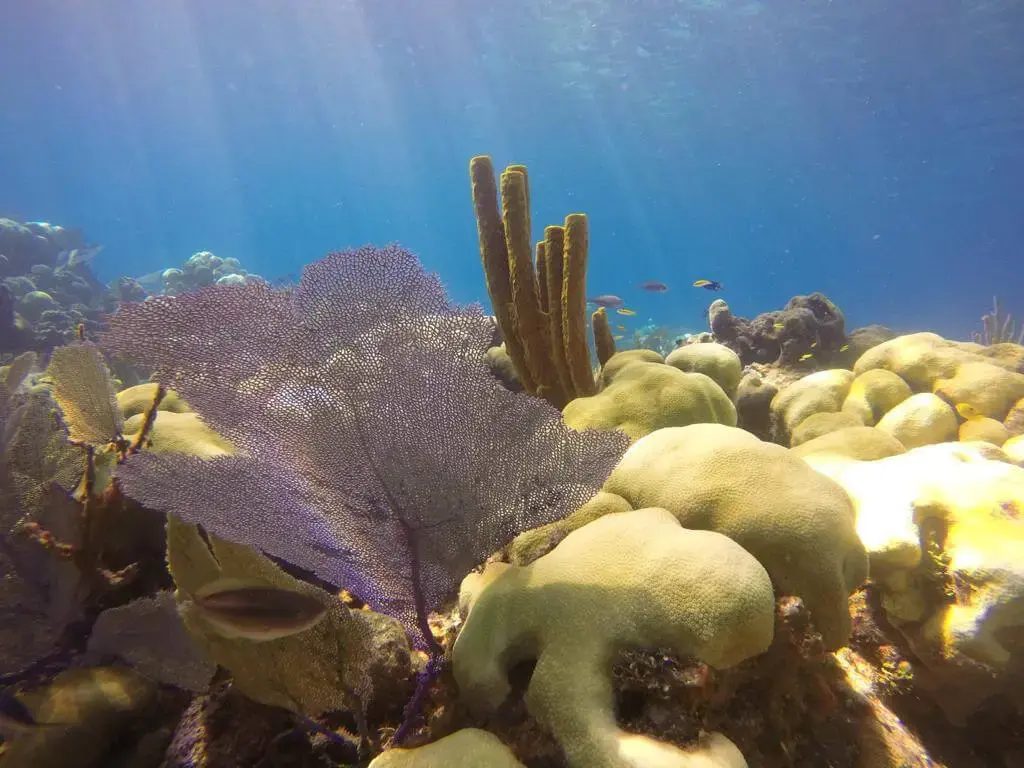 Catalina Island beach day trip from Punta Cana Dominican Republic