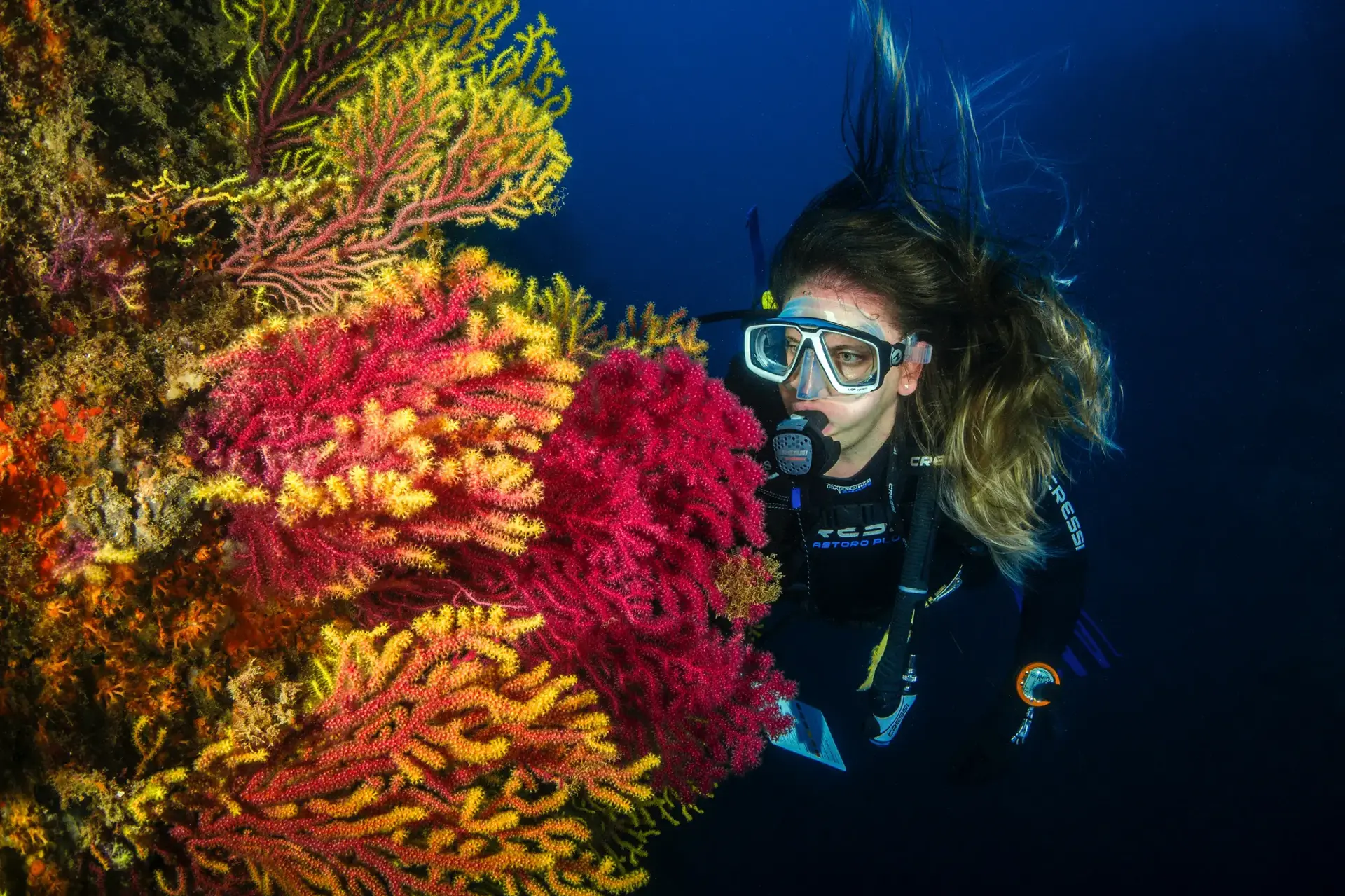 Girl Diving